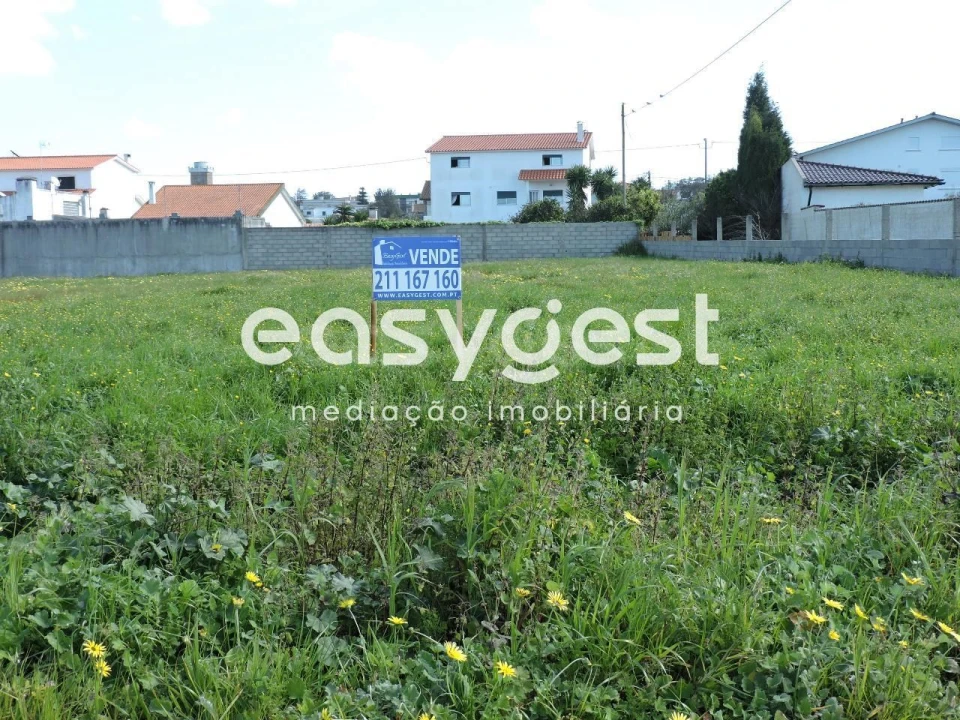 Terreno para Venda em Vieira de Leiria Foto 3