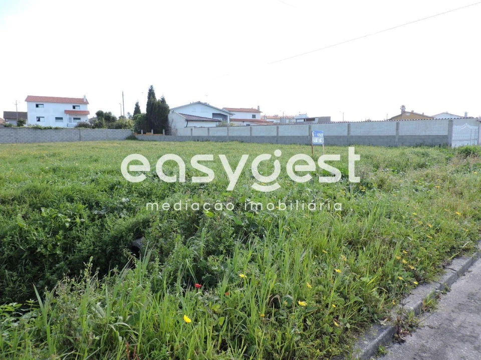 Terreno para Venda em Vieira de Leiria Foto 5