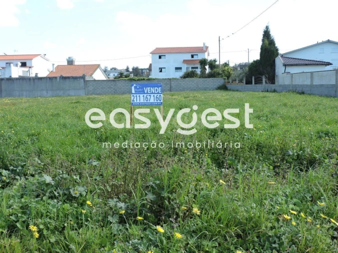 Terreno para Venda em Vieira de Leiria Foto 3