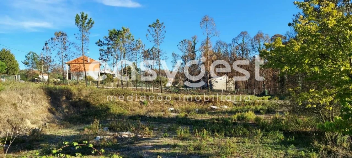 Terreno para Venda em Caranguejeira Foto 7