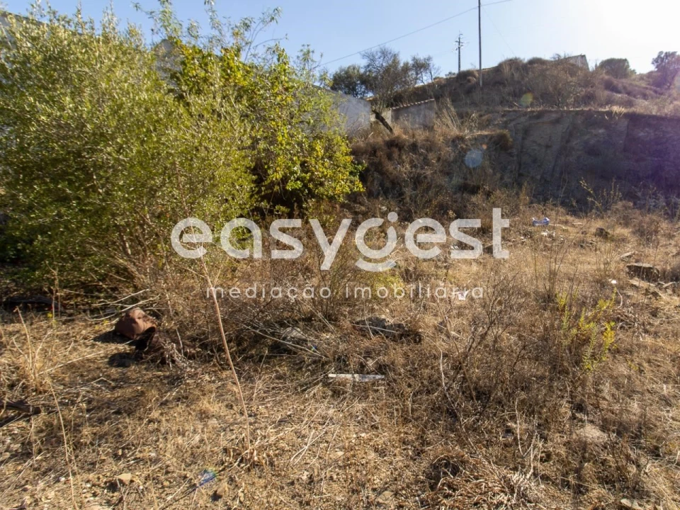 Terreno Agricola ou Rústico para Venda em Alcoutim e Pereiro Foto 5