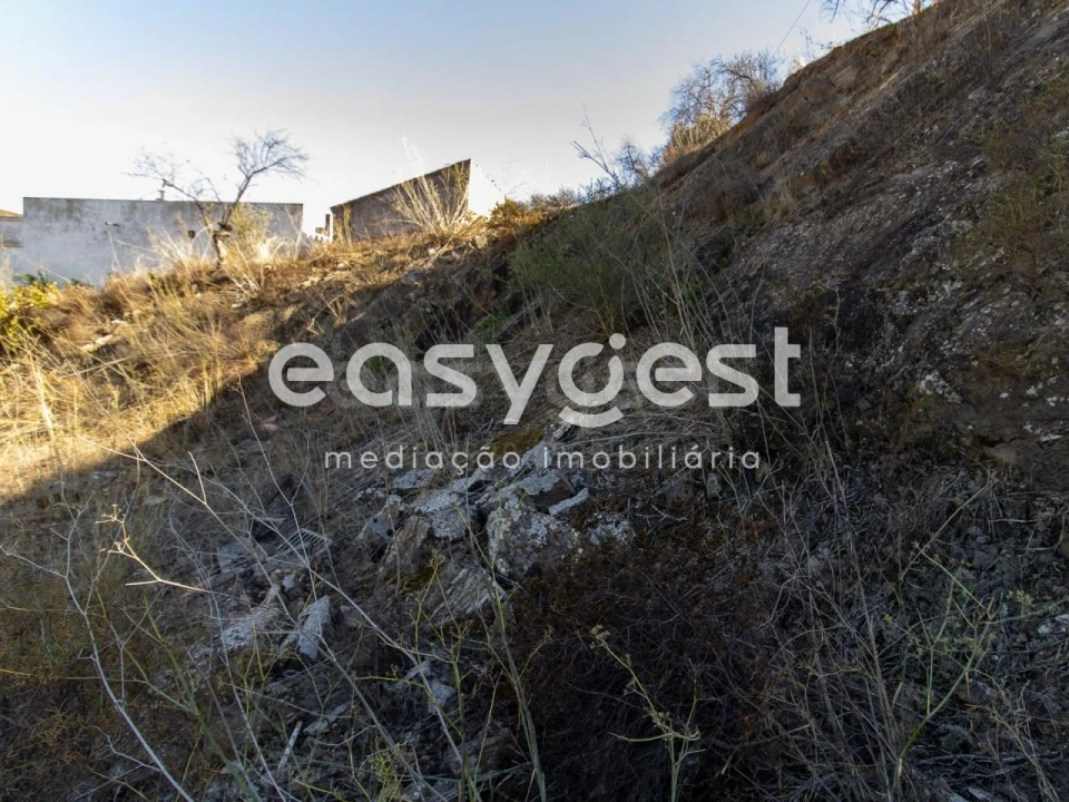 Terreno Agricola ou Rústico para Venda em Alcoutim e Pereiro Foto 9