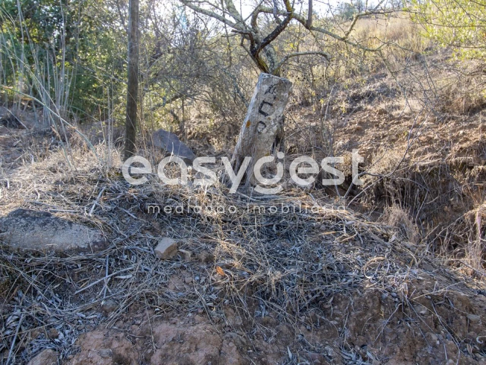 Terreno Agricola ou Rústico para Venda em Alcoutim e Pereiro Foto 11