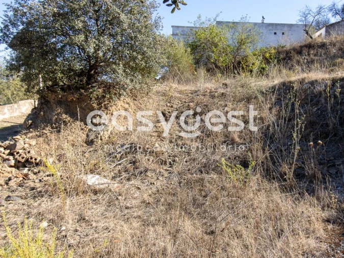 Terreno Agricola ou Rústico para Venda em Alcoutim e Pereiro Foto 4