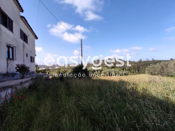 Terreno para Venda em Louriçal Foto 4