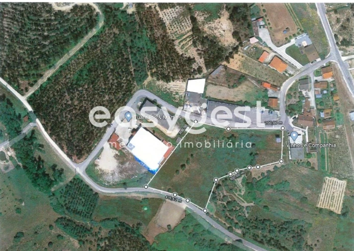 Terreno para Venda em Louriçal Foto 6