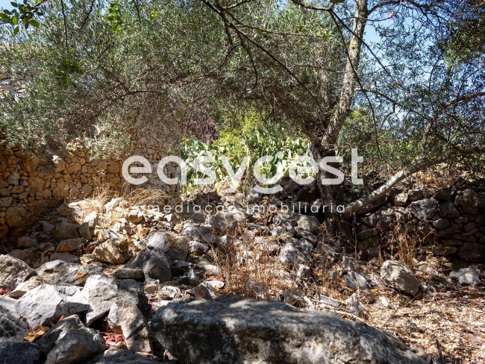 Terreno Misto para Venda em Moncarapacho e Fuseta Foto 3