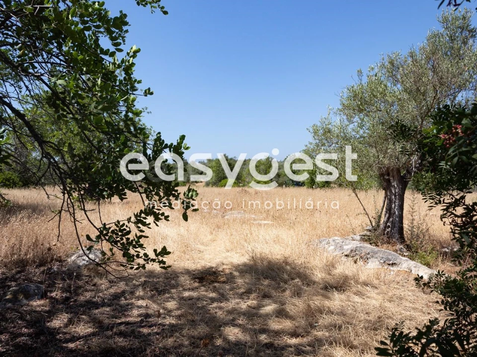 Terreno Misto para Venda em Moncarapacho e Fuseta Foto 10