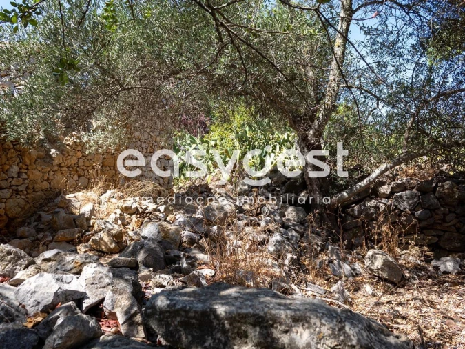 Terreno Misto para Venda em Moncarapacho e Fuseta Foto 3