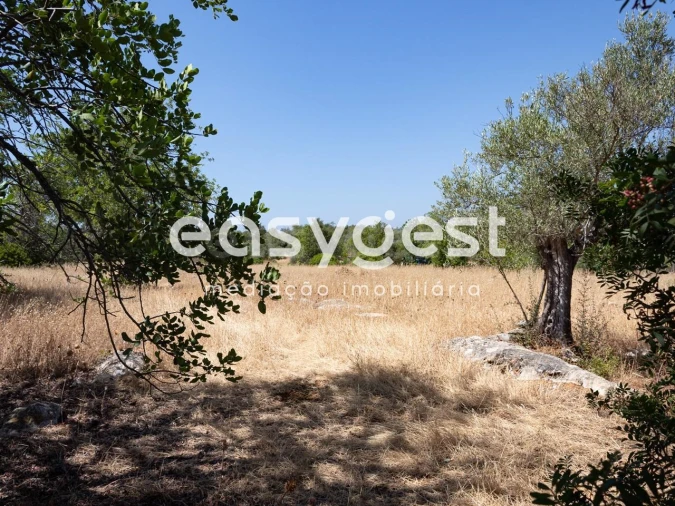 Terreno Misto para Venda em Moncarapacho e Fuseta Foto 10