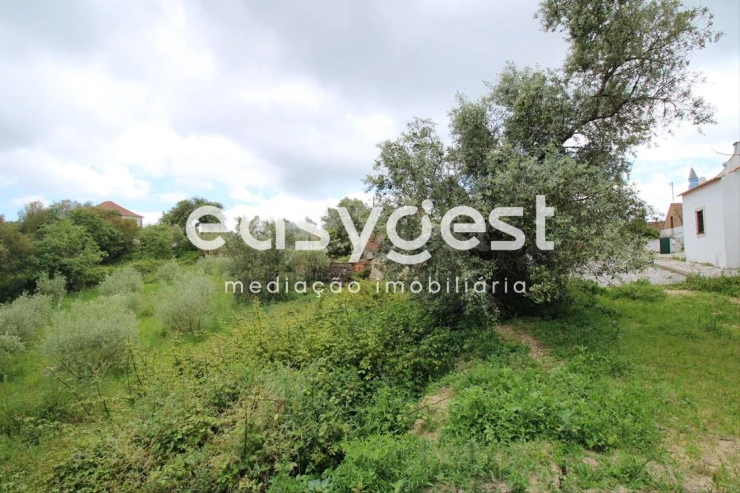 Moradia T3 para Venda em Alvorninha Foto 10