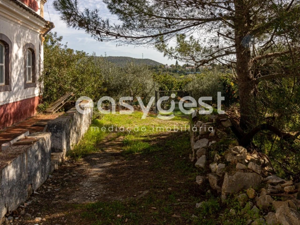 Quinta T3 para Venda em Moncarapacho e Fuseta Foto 3