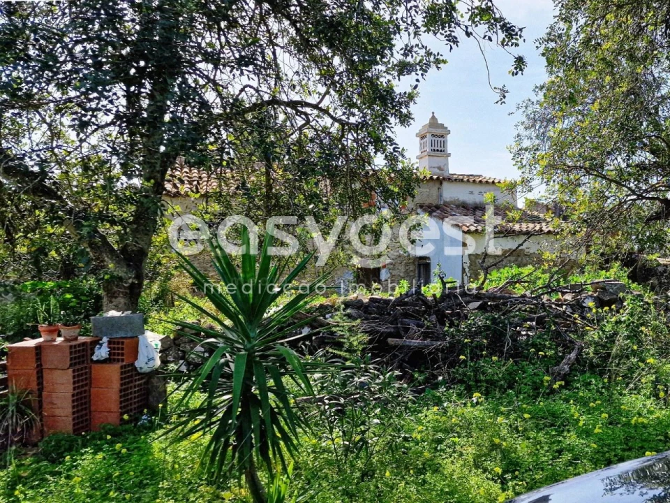 Quinta T3 para Venda em Moncarapacho e Fuseta Foto 23