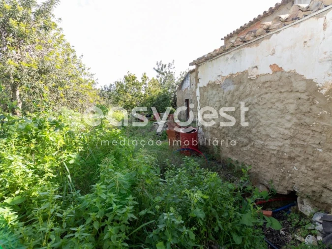 Quinta T3 para Venda em Moncarapacho e Fuseta Foto 16