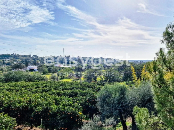 Quinta T3 para Venda em Moncarapacho e Fuseta Foto 18