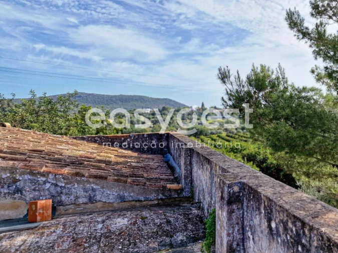 Quinta T3 para Venda em Moncarapacho e Fuseta Foto 19
