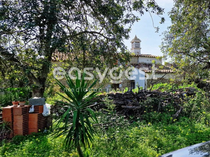 Quinta T3 para Venda em Moncarapacho e Fuseta Foto 23