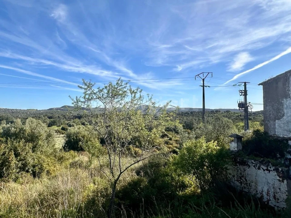 Terreno Misto para Venda em Loule (São Clemente) Foto 5