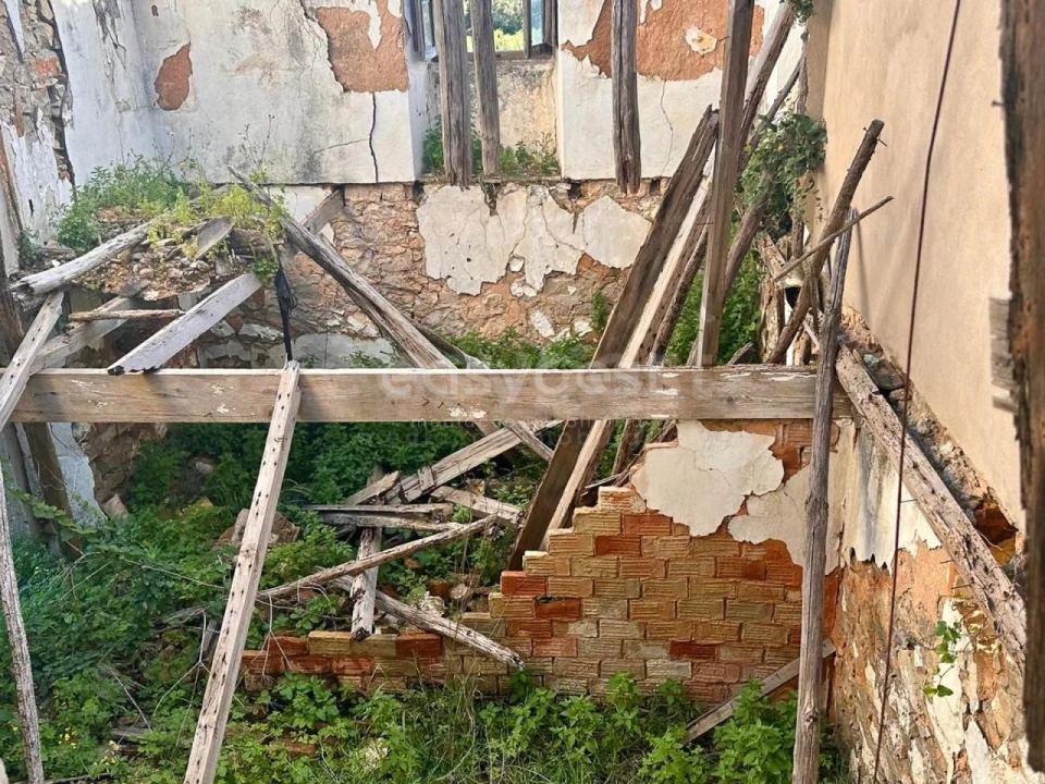 Terreno Misto para Venda em Loule (São Clemente) Foto 11