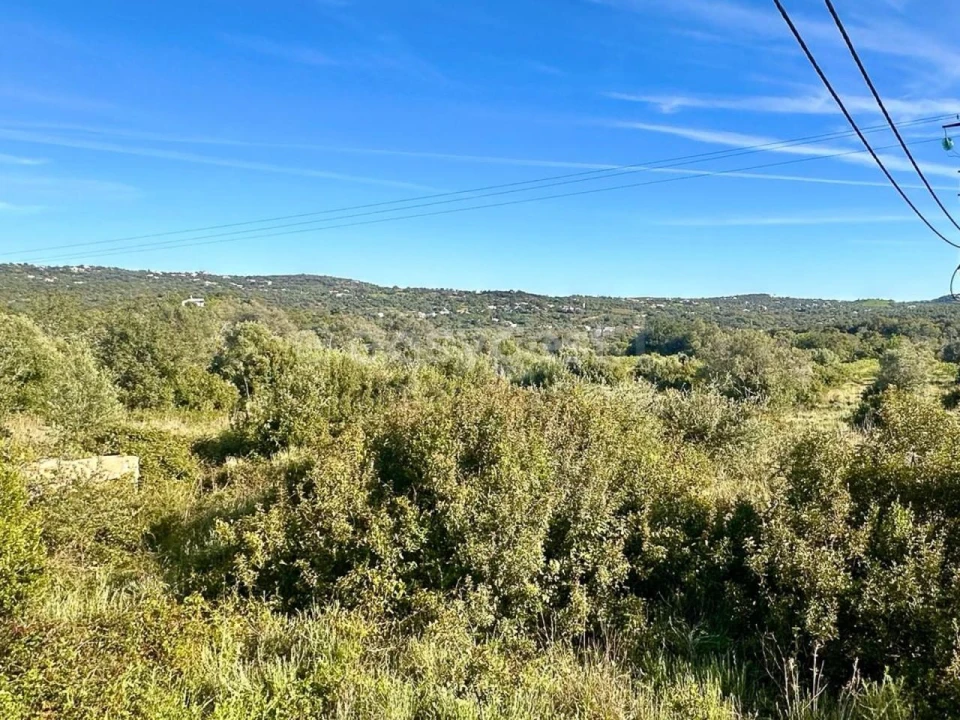 Terreno Misto para Venda em Loule (São Clemente) Foto 14