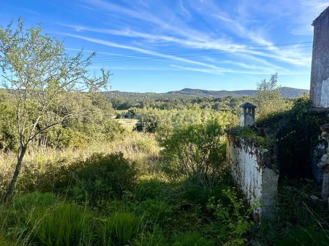 Terreno Misto para Venda em Loule (São Clemente) Foto 2