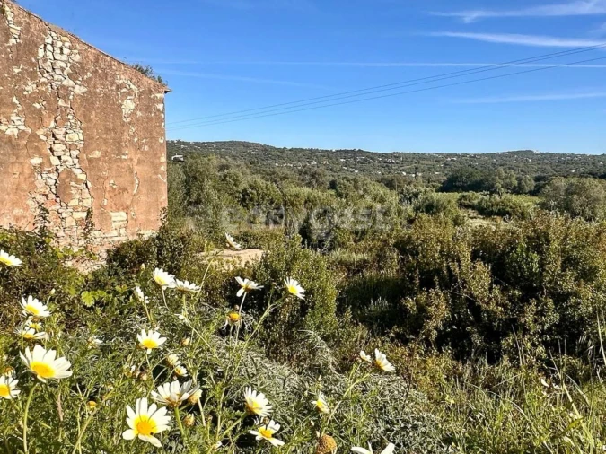 Terreno Misto para Venda em Loule (São Clemente) Foto 8