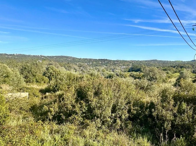 Terreno Misto para Venda em Loule (São Clemente) Foto 14