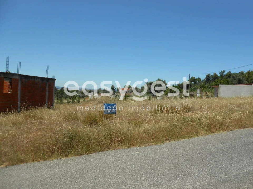 Terreno para Venda em Carregueira Foto 3