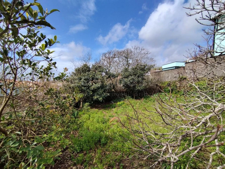 Terreno para Venda em Ribeirinha Foto 13