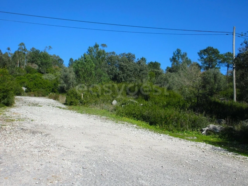 Terreno para Venda em Mira de Aire Foto 1