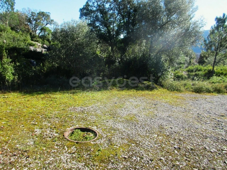 Terreno para Venda em Mira de Aire Foto 5