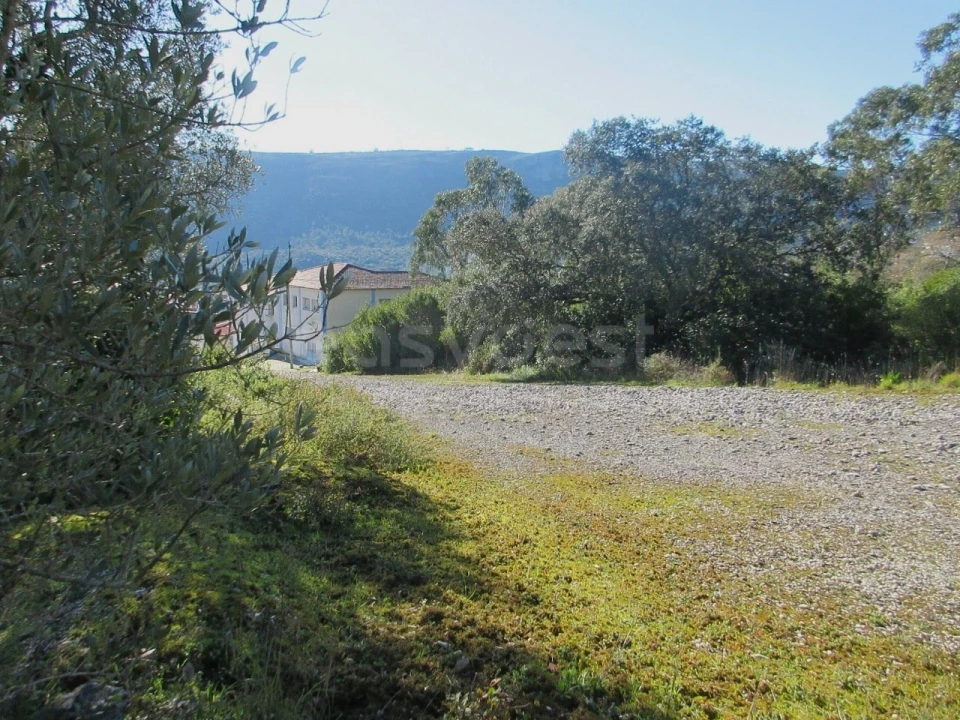 Terreno para Venda em Mira de Aire Foto 6
