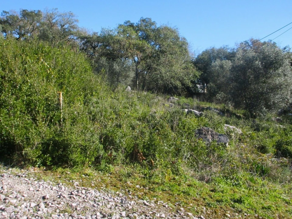 Terreno para Venda em Mira de Aire Foto 10