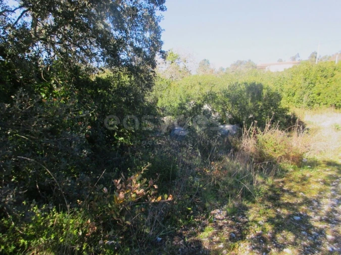 Terreno para Venda em Mira de Aire Foto 3