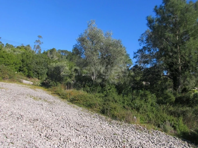 Terreno para Venda em Mira de Aire Foto 4