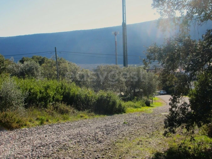 Terreno para Venda em Mira de Aire Foto 9