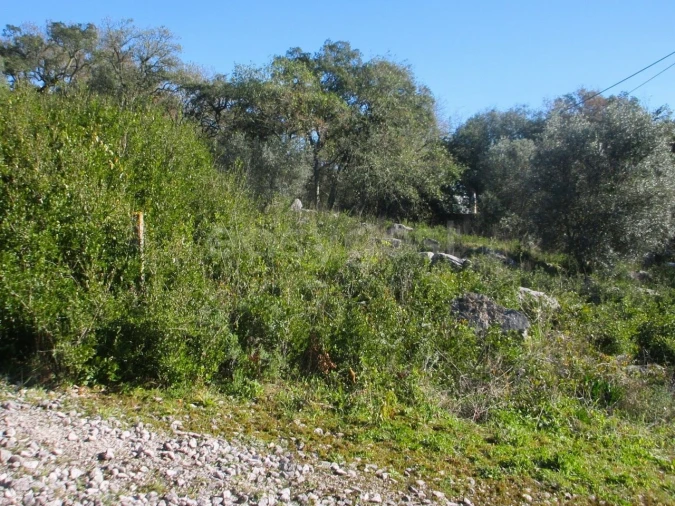 Terreno para Venda em Mira de Aire Foto 10