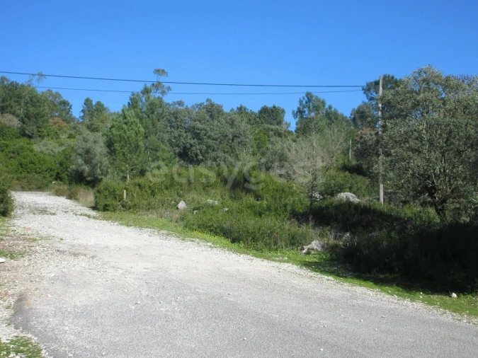 Terreno para Venda em Mira de Aire Foto 12