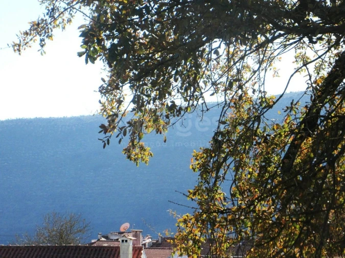 Terreno para Venda em Mira de Aire Foto 16