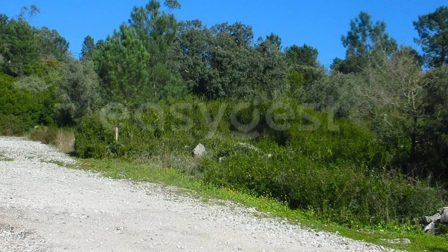 Terreno para Venda em Mira de Aire