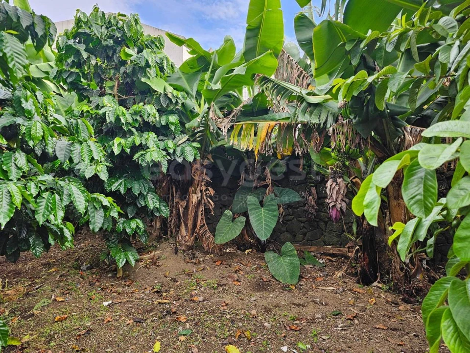 Moradia T7 para Venda em Ponta Delgada (São Sebastião) Foto 22