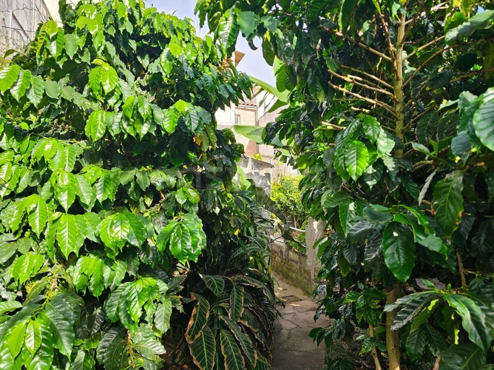 Moradia T7 para Venda em Ponta Delgada (São Sebastião) Foto 24