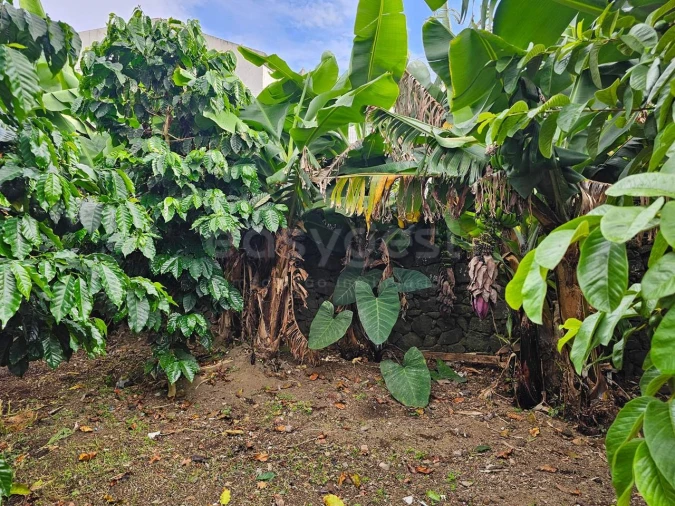 Moradia T7 para Venda em Ponta Delgada (São Sebastião) Foto 22