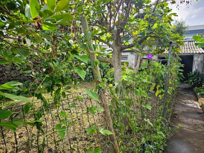 Moradia T7 para Venda em Ponta Delgada (São Sebastião) Foto 23