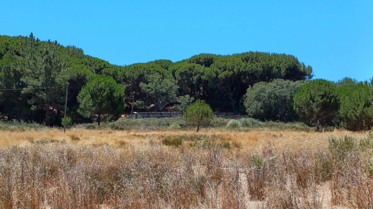 Quinta T4 para Venda em Montenegro Foto 3