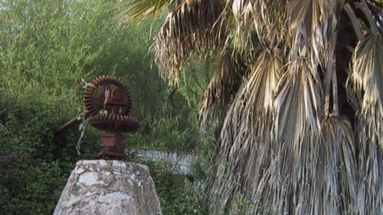 Quinta T4 para Venda em Montenegro Foto 1