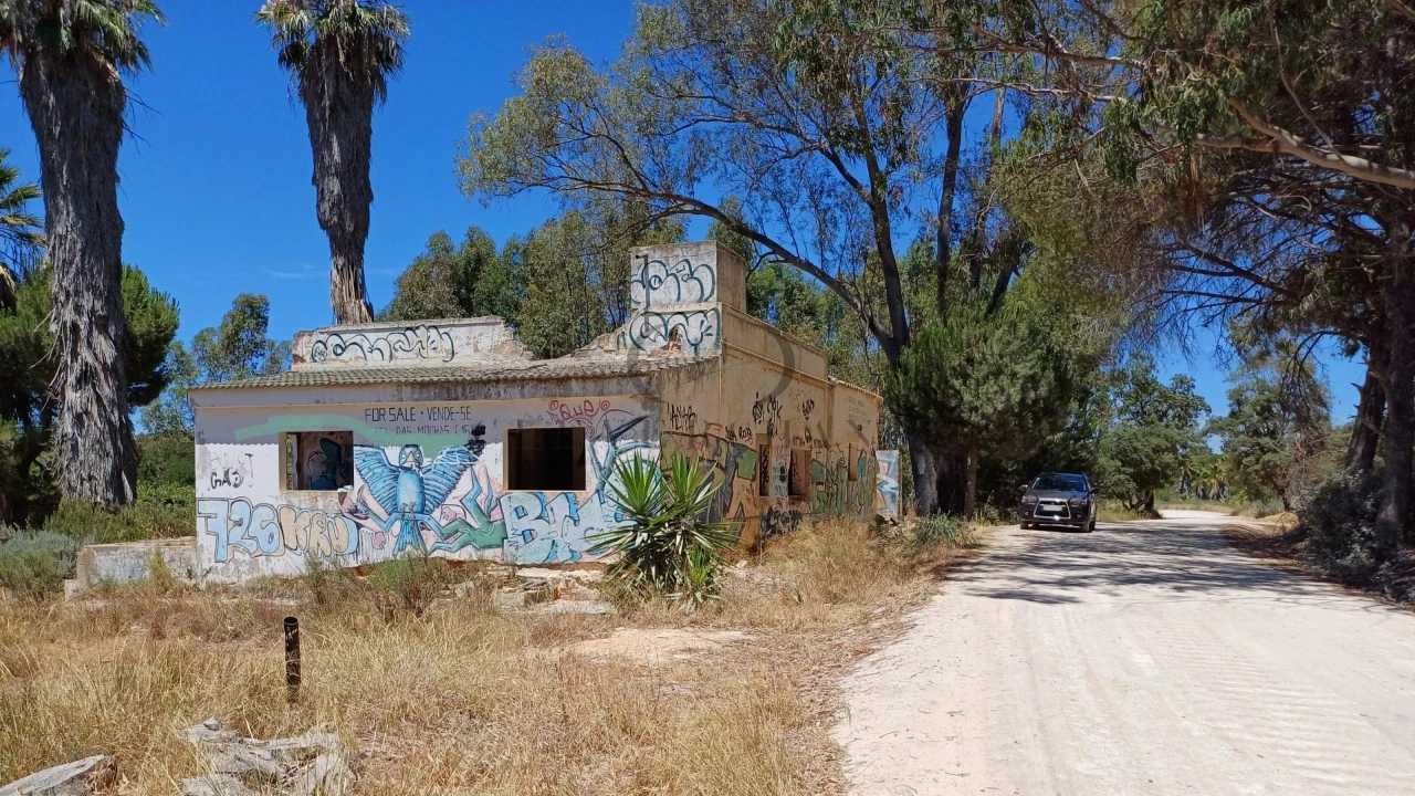 Quinta T4 para Venda em Montenegro Foto 5