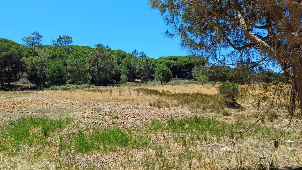 Quinta T4 para Venda em Montenegro Foto 10