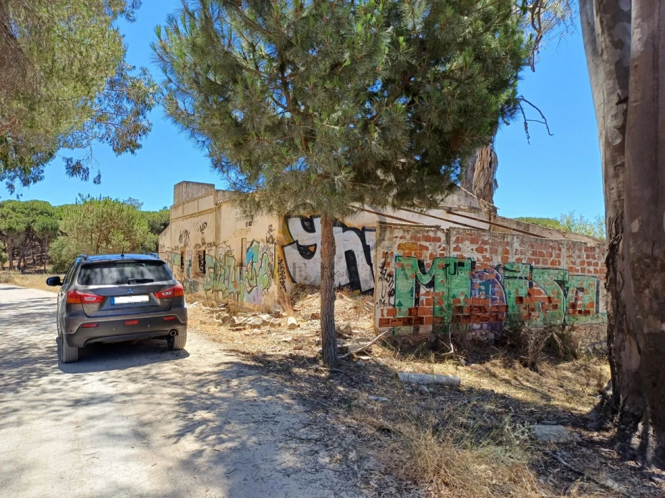 Quinta T4 para Venda em Montenegro Foto 12