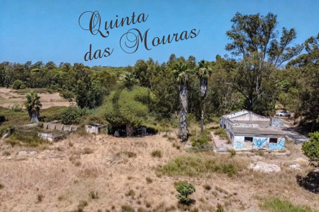 Quinta T4 para Venda em Montenegro Foto 2